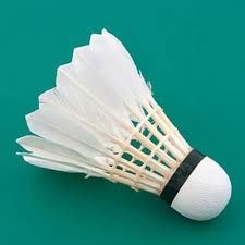 Badminton Feather Shuttlecock