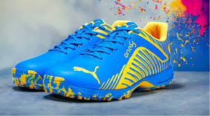 Puma Cricket shoes